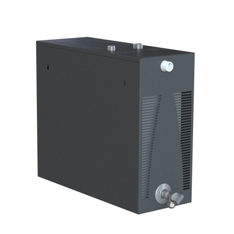 Парогенератор проточный c выносным/встроенным цифровым пультом управления, 4 кВт